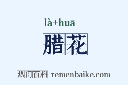 腊花是什么意思的图片